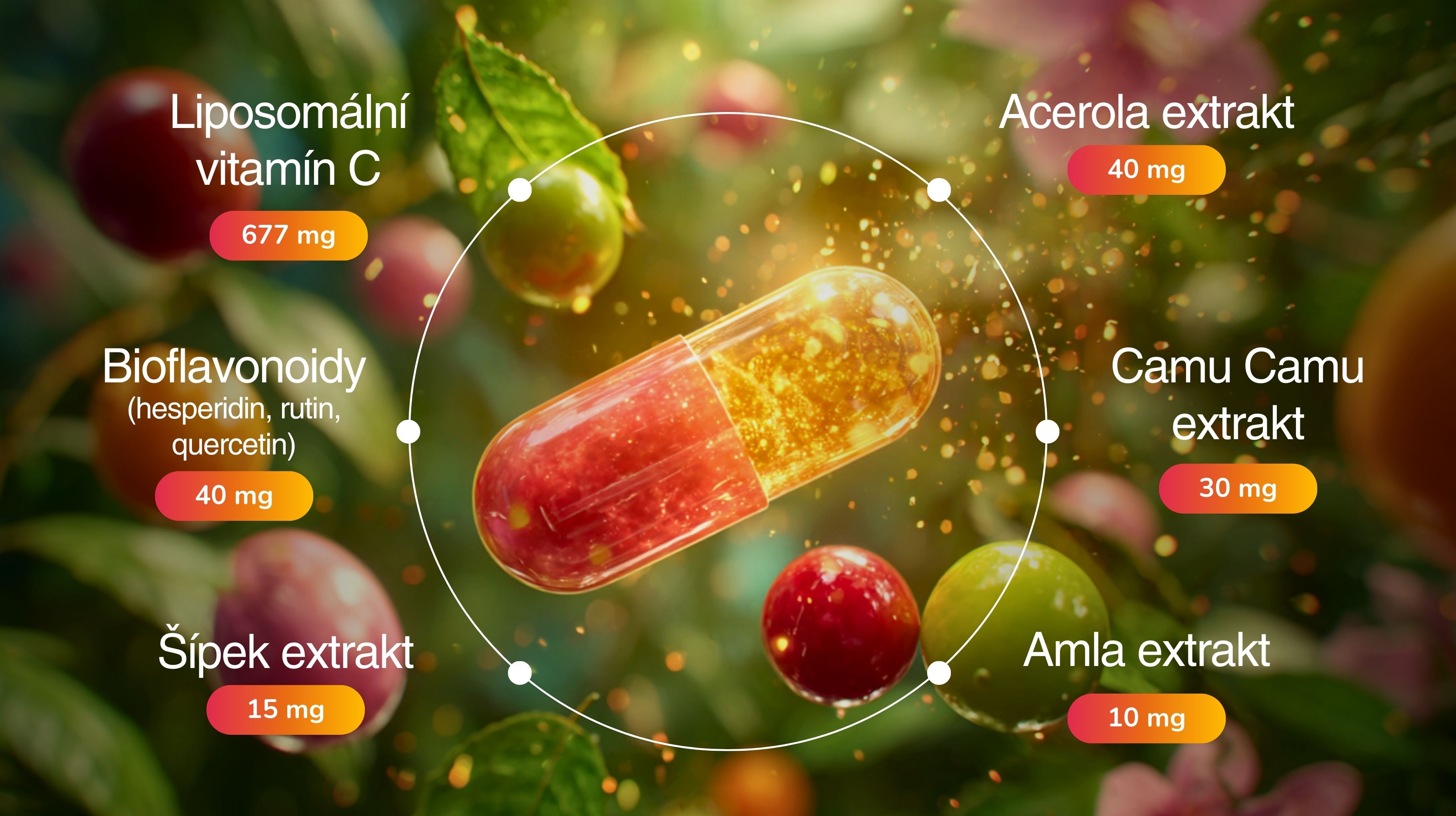 PREMIUM Liposomální Vitamín C 832 mg ANTIOXIDANT BERRY BOOST (+ Acerola, Camu Camu, amla, šípek, bioflavonoidy), Vysoce vstřebatelný, 60 kapslí -11